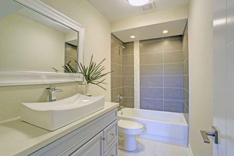 Accessible Bathroom Renovation detail